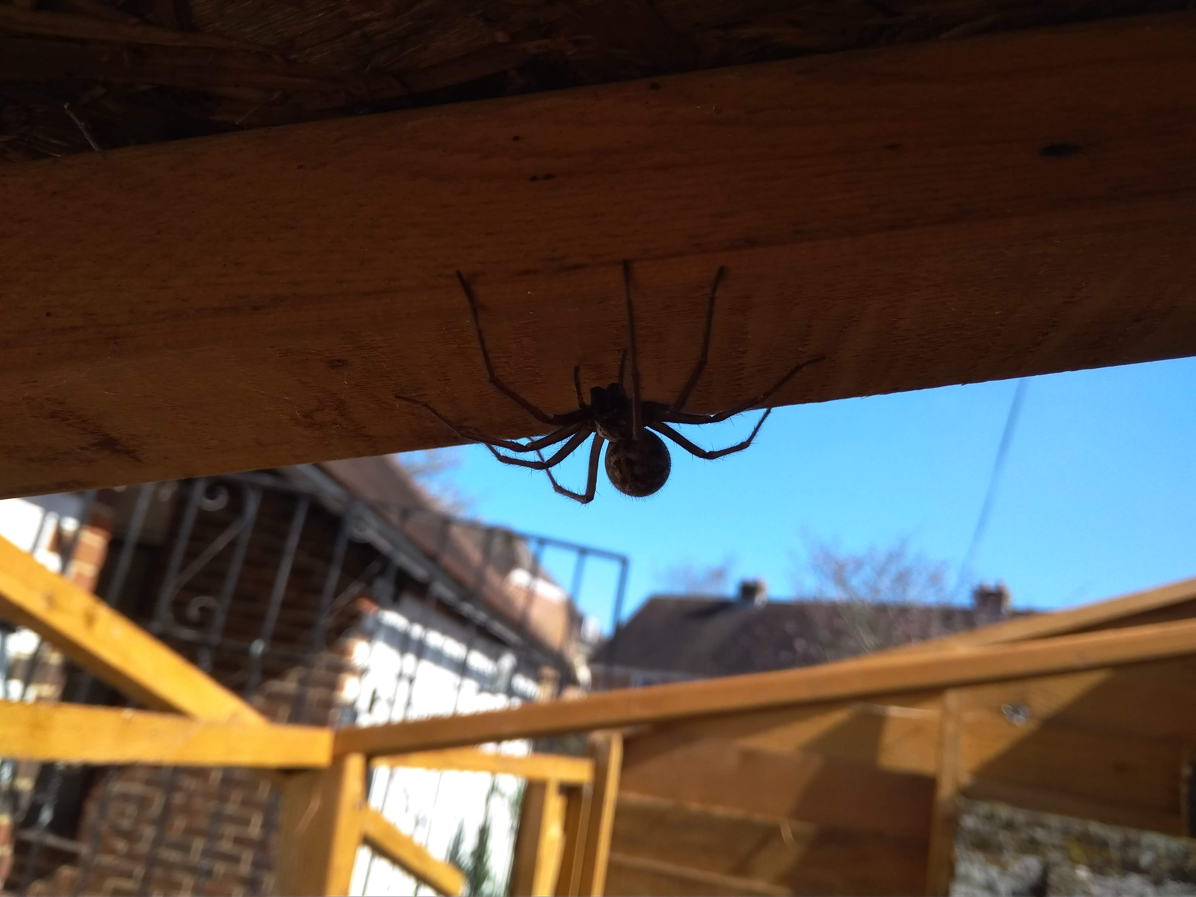 IMG_20210329_115611[1]