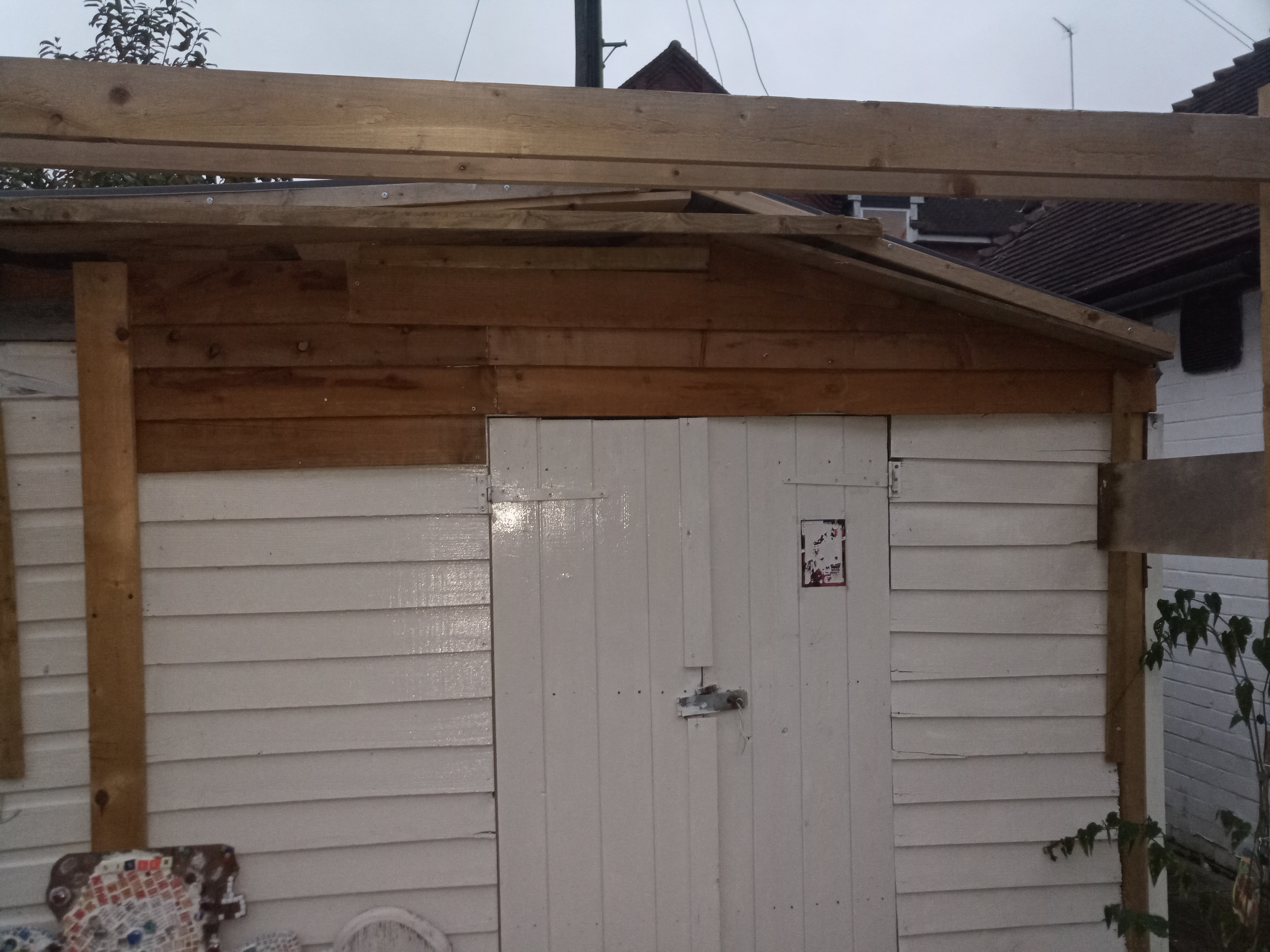 IMG_20211110_163212_647