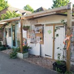 IMG_20220522_182054_171 IMG_20220522_182054_171