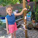 IMG_20220809_153234_266